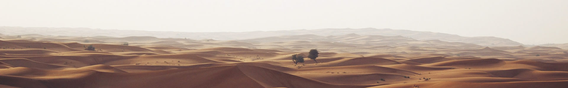 ĴԴƼ޹˾